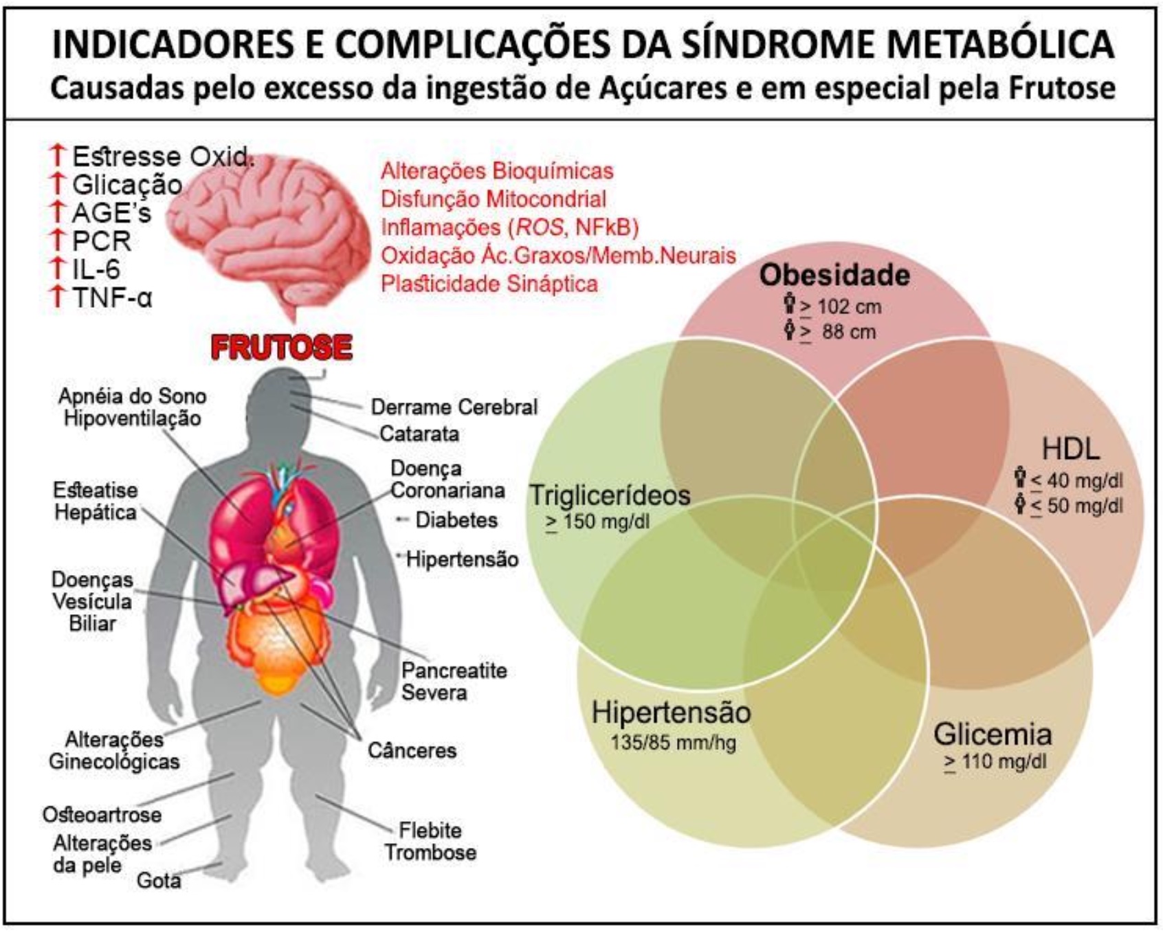 Inflamação crônica causada por Carboidrato